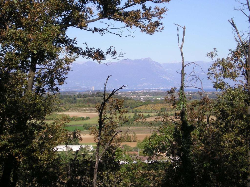 Agriturismo Dondino Cavriana Экстерьер фото