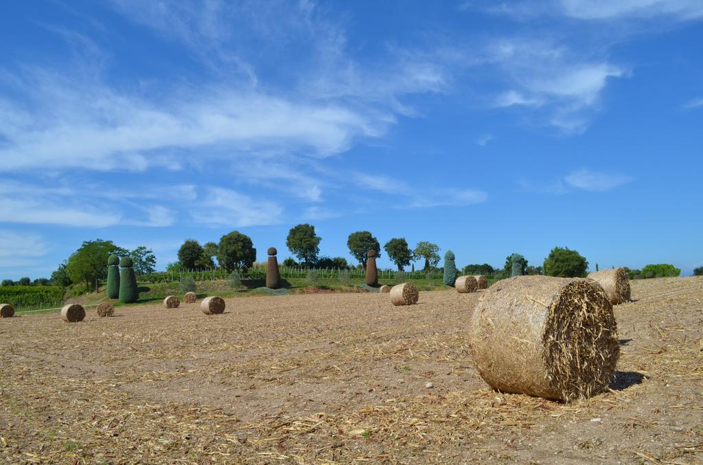 Agriturismo Dondino Cavriana Экстерьер фото