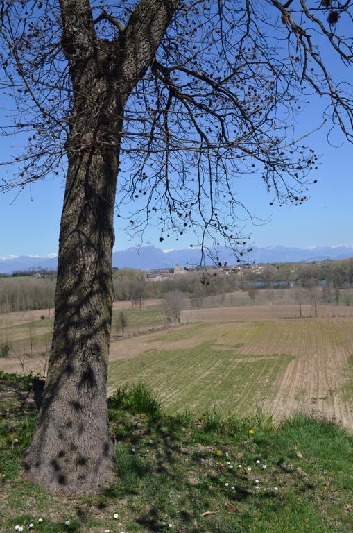 Agriturismo Dondino Cavriana Экстерьер фото