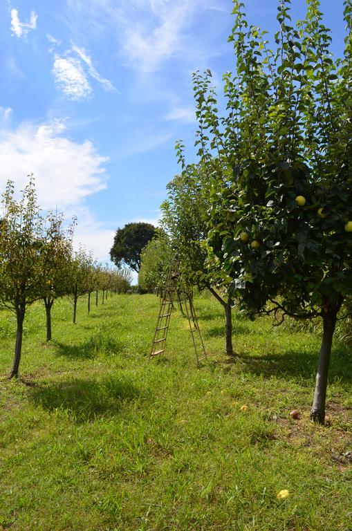 Agriturismo Dondino Cavriana Экстерьер фото